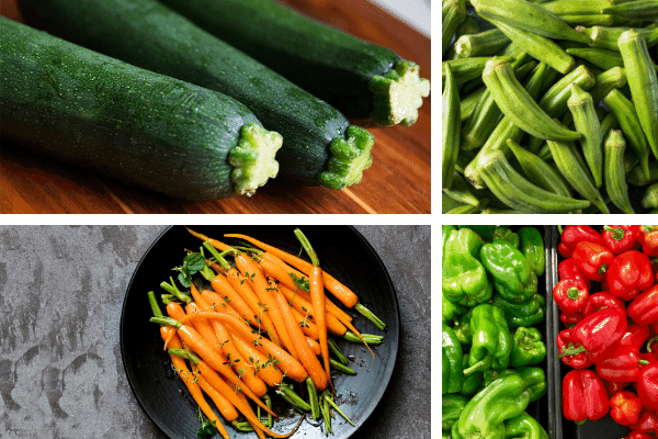 Vegetables To Feed To A Box Turtle