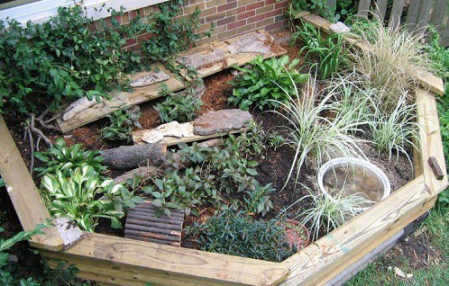 box turtle outdoor enclosure – The Turtle Hub