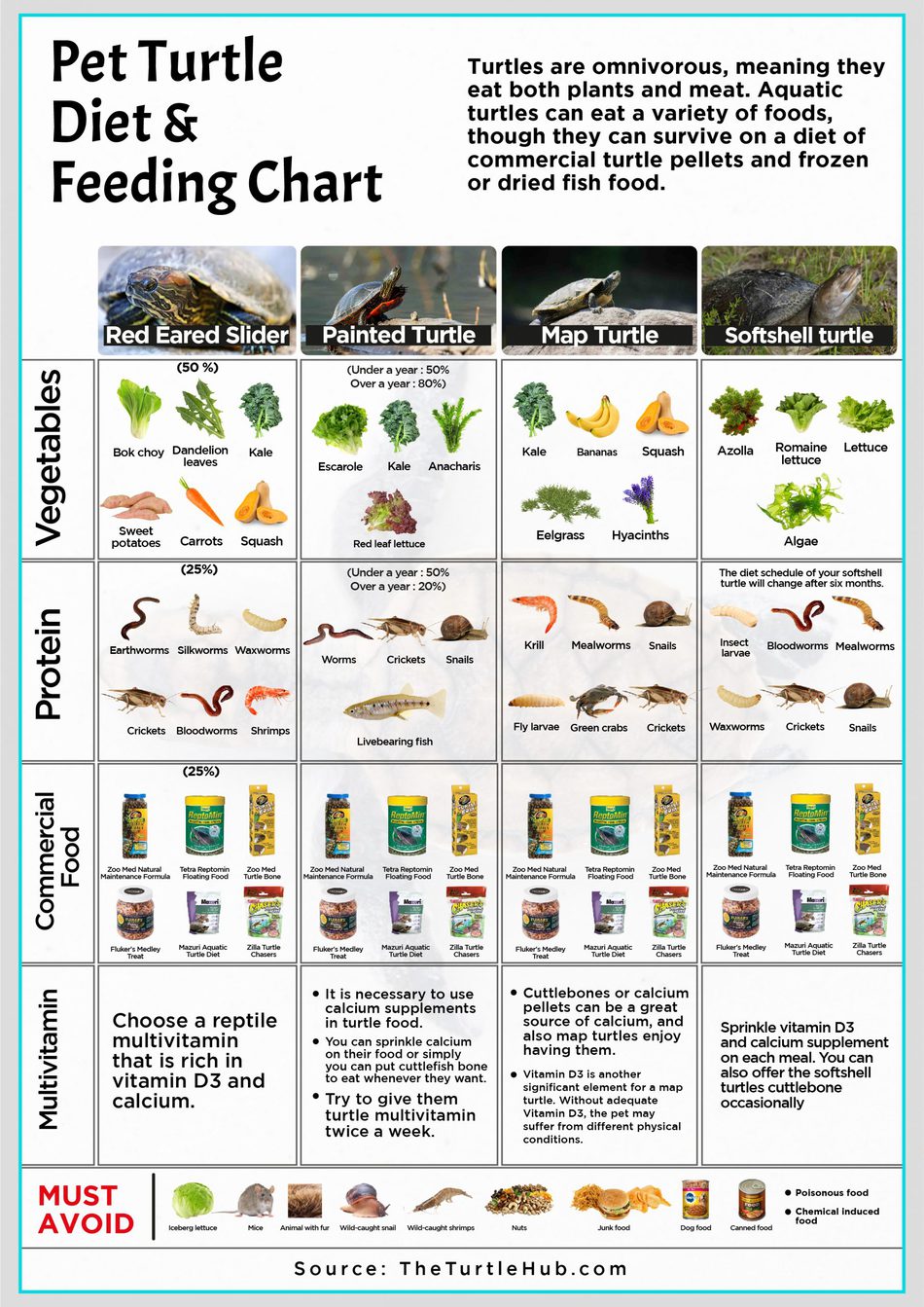 Greens To Proteins A Guide To Feeding RedEared Sliders The Turtle Hub