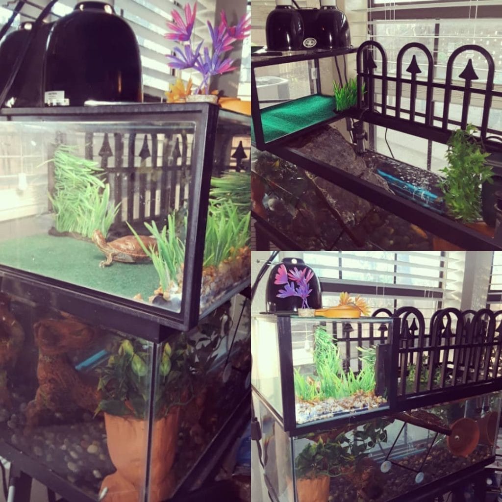 Economical homemade turtle habitat with floating dock, black sand, and aquatic plants