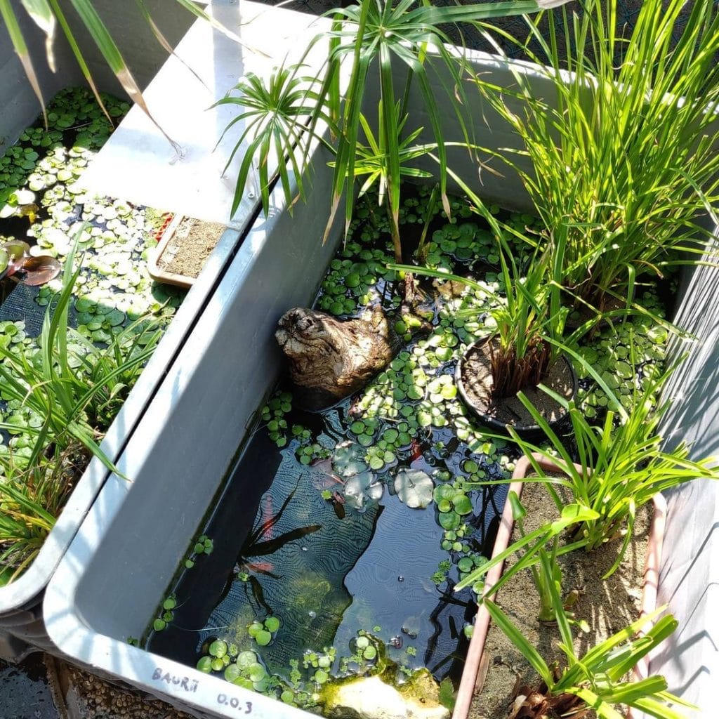 DIY foam box turtle tank made with styrofoam pebble walls and basking spot