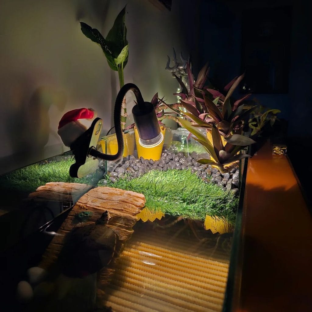 Glass DIY turtle tank with plastic grass substrate, ramp, and overhead lamp