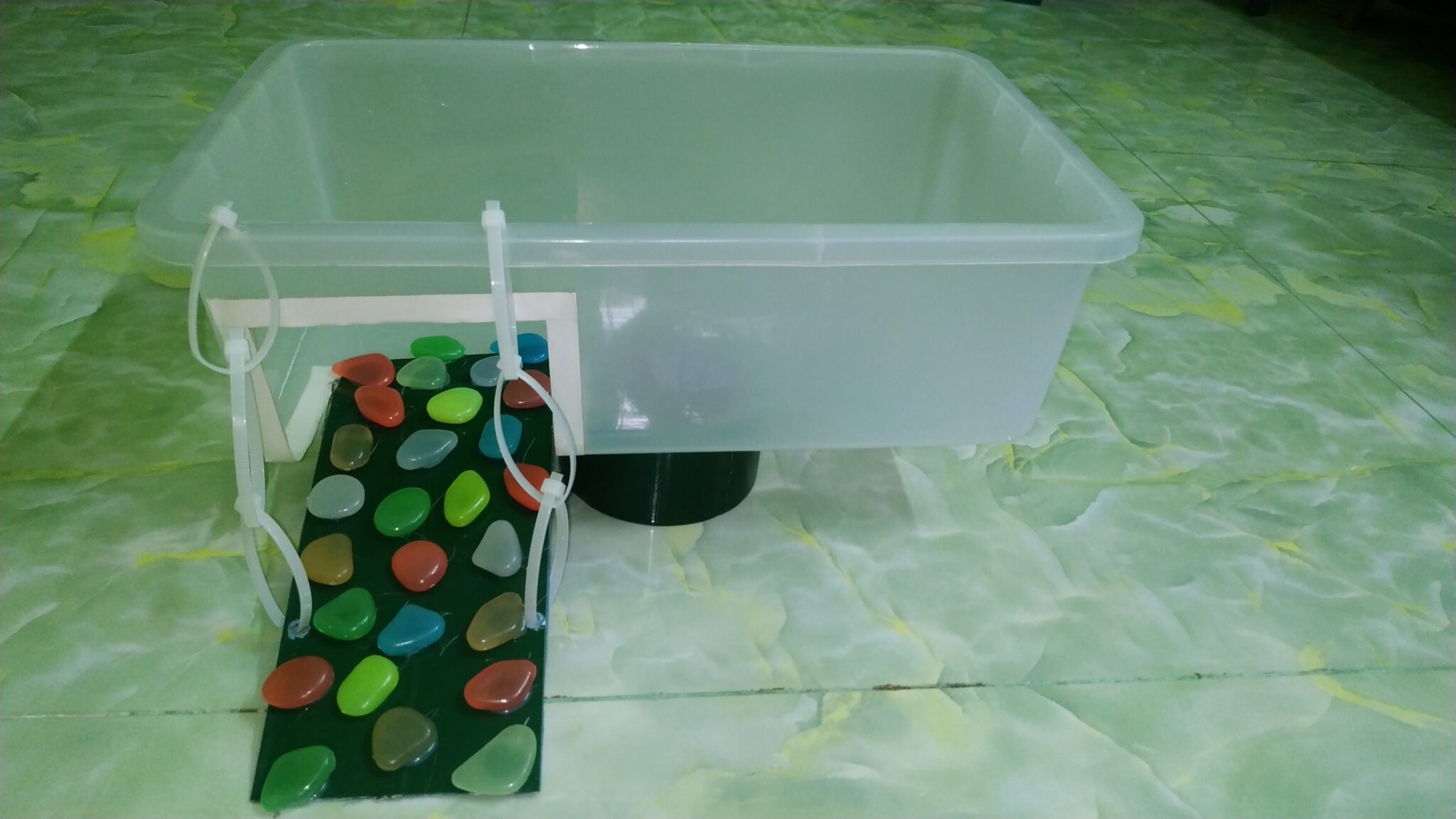 View of DIY Turtle Basking Area : 4 Methods (Steps With Pictures) – The Turtle Hub