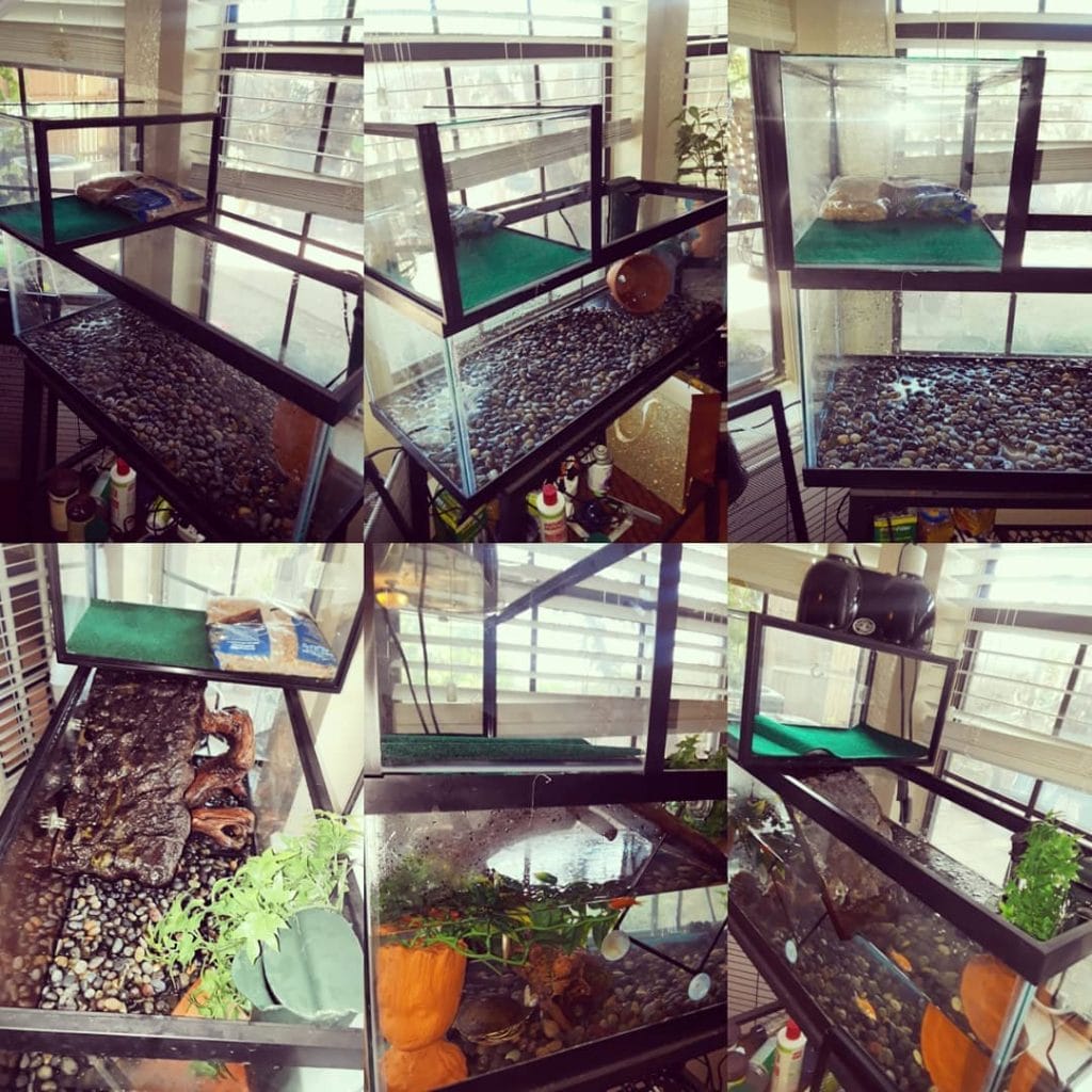 Simple turtle serenity tank with plastic bridge, water pump, and decorations