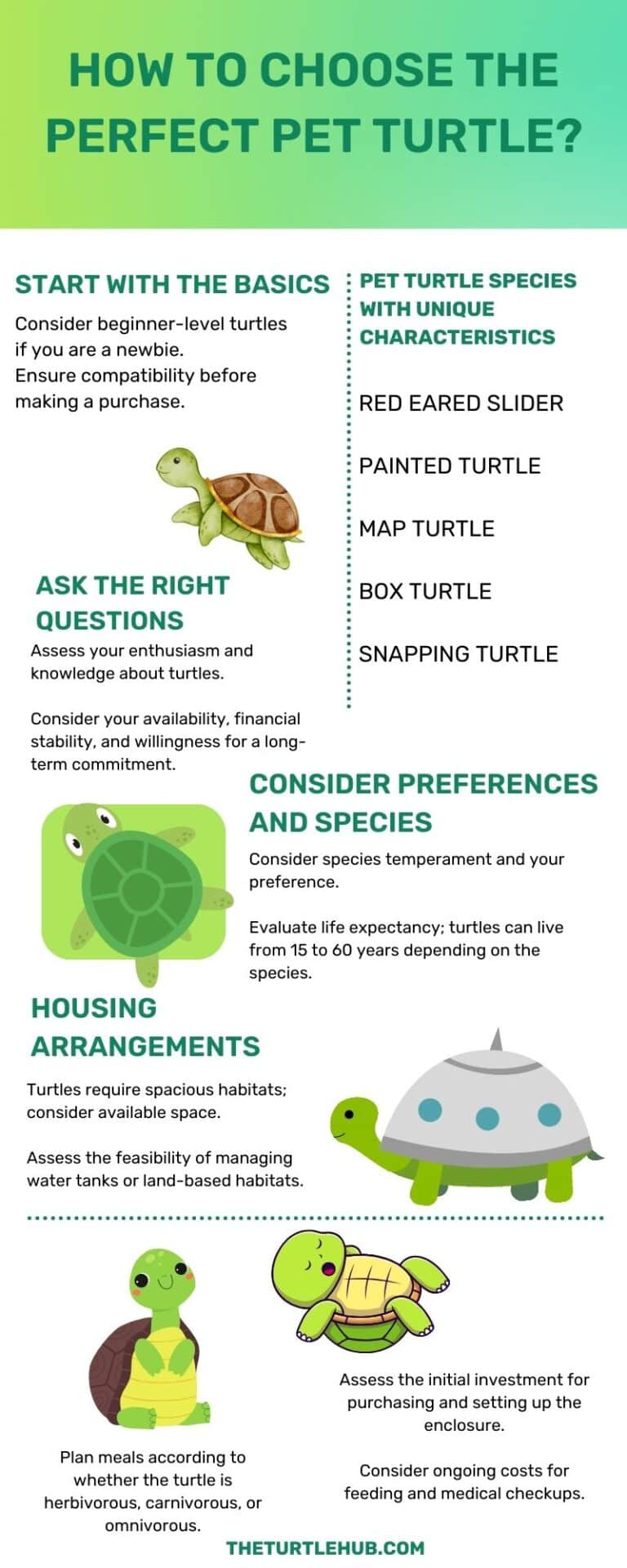 Infographics – Page 2 – The Turtle Hub