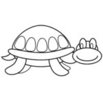 How To Draw A Turtle Step by Step [4 Methods] – The Turtle Hub