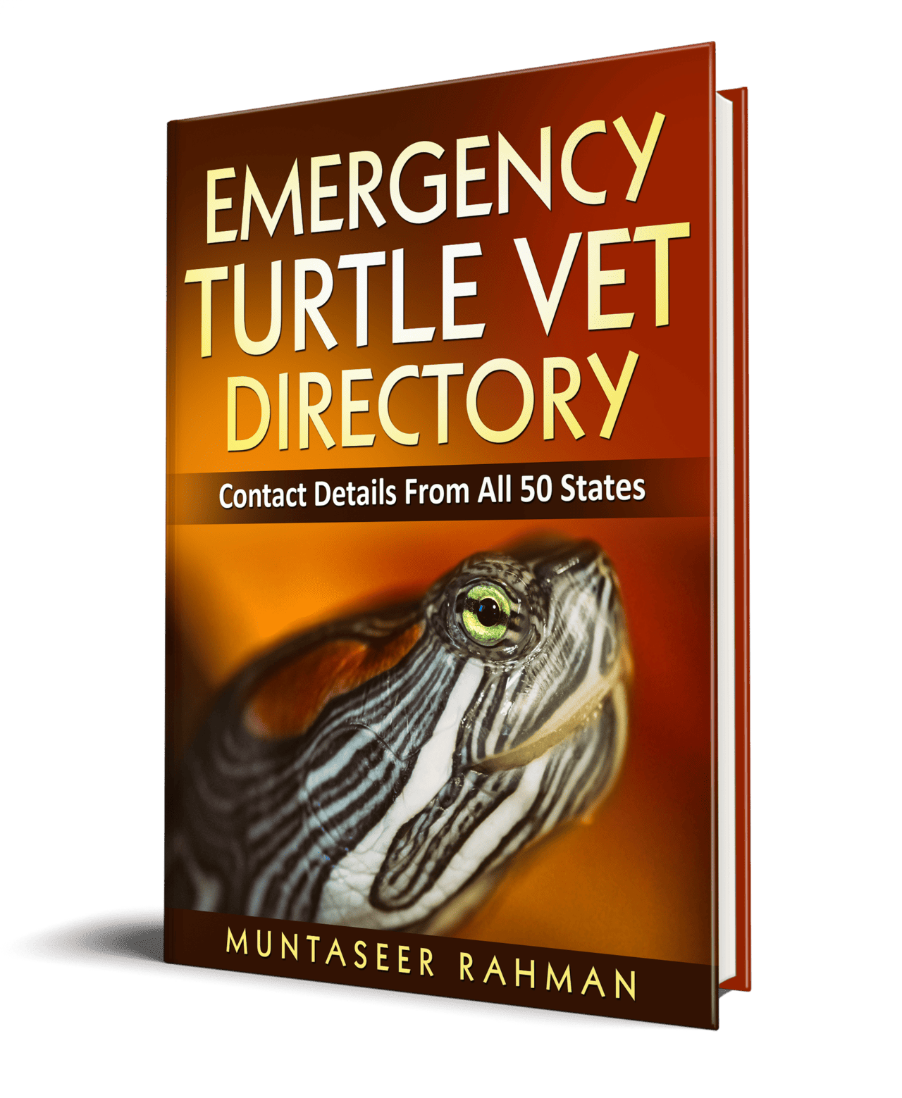 Is Your Turtle Dehydrated?  The Time To Water Warning - 84umgey