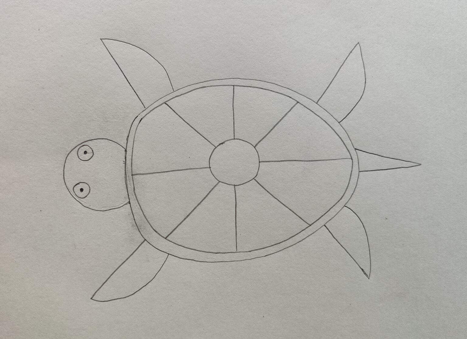 3 Simple and Cute Turtle Drawing Ideas for Kids: Step-by-Step Guide ...