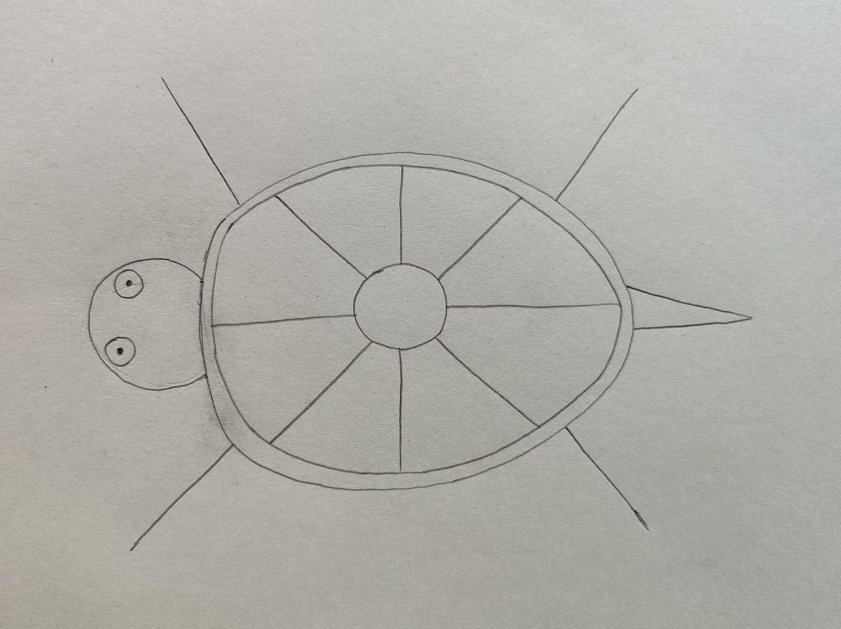 3 Simple and Cute Turtle Drawing Ideas for Kids: Step-by-Step Guide ...