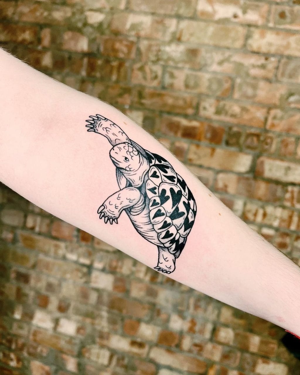 Black and grey tortoise tattoo with heart-pattern shell on the forearm