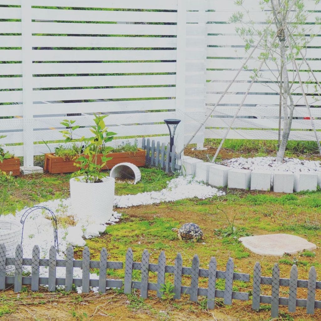 open garden tortoise enclosure with buried tunnel hide and gravel path