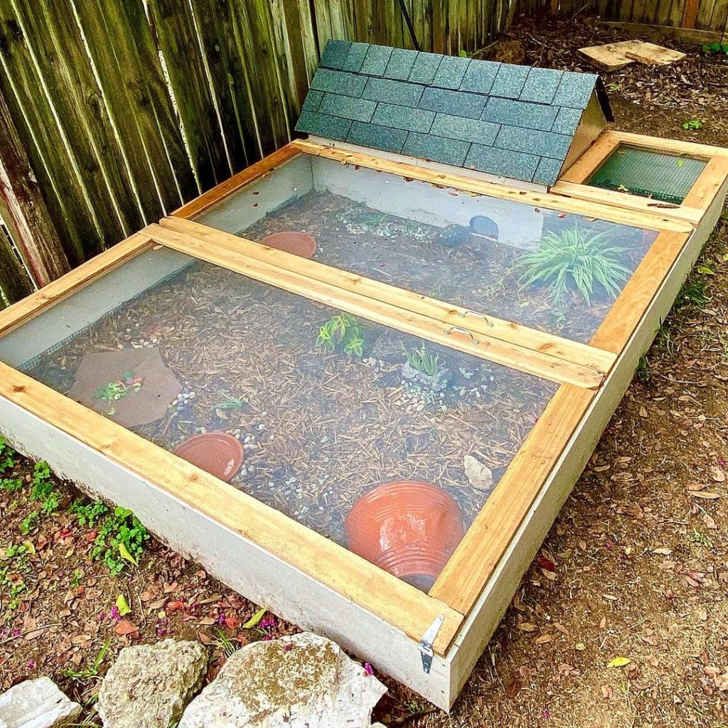 predator-proof outdoor tortoise enclosure with wooden frame and mesh lid