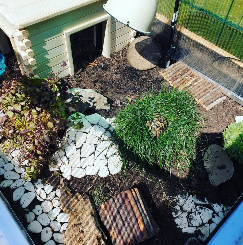 rustic cottage-style outdoor tortoise corner with stone paths and log hide