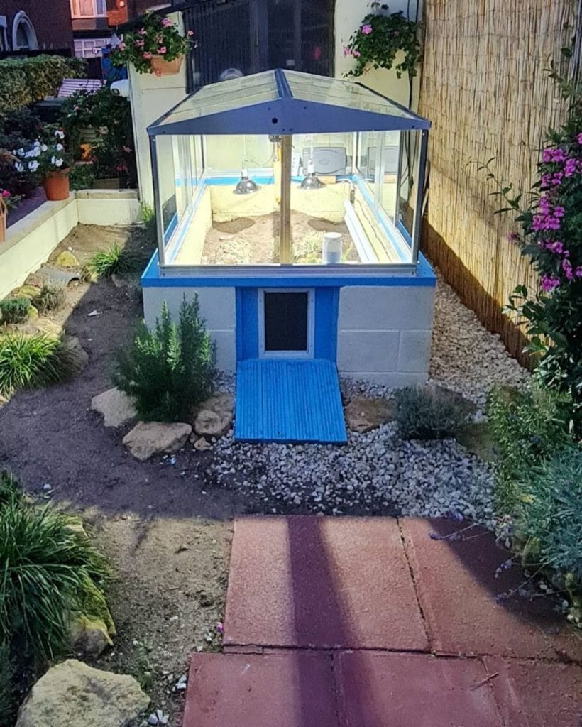 walk-in tortoise greenhouse enclosure with glass top and ramp access