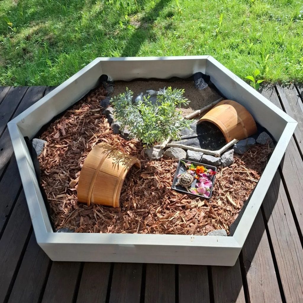 hexagon-shaped outdoor tortoise pen with bark mulch and flower feeder