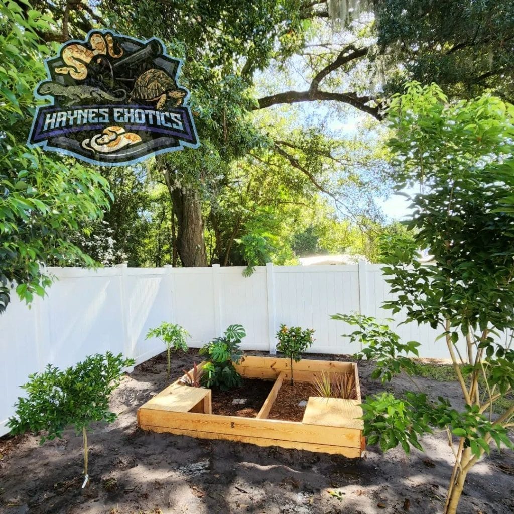 large outdoor tortoise habitat with trees and raised planters