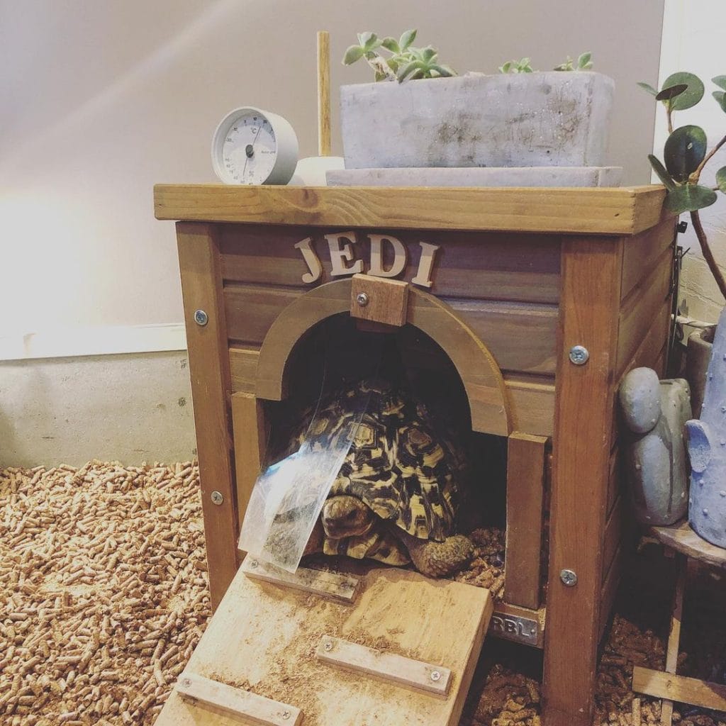 personalized wooden tortoise hide box with ramp and thermometer