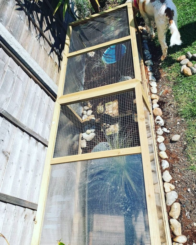long narrow walkway-style outdoor tortoise run along a fence