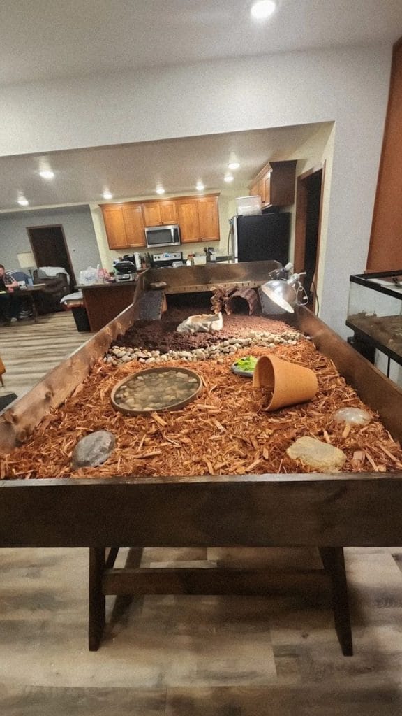 Giant indoor tortoise enclosure built as coffee table furniture with basking zone, hide, and bark chip substrate