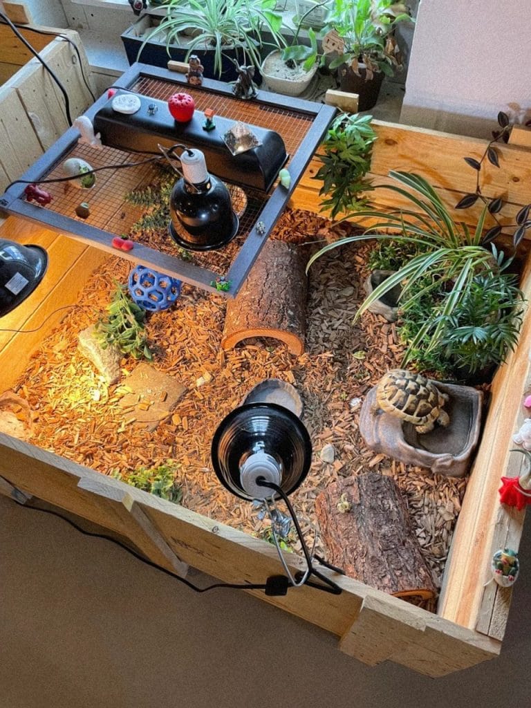 DIY wooden zen garden indoor tortoise enclosure with climbing logs and deep mulch substrate
