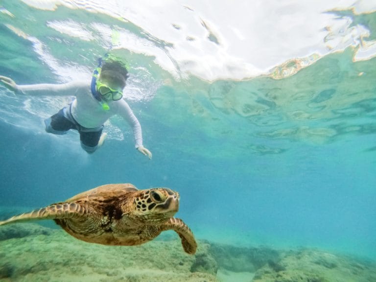 Top 5 Places to Snorkel with Sea Turtles for a Once-in-a-Lifetime Adventure
