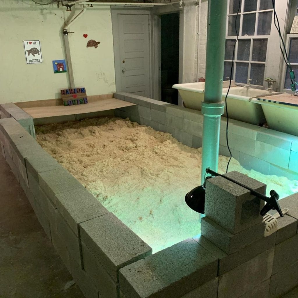 Large DIY cinder block indoor tortoise enclosure in basement with hay bedding and heat lamp