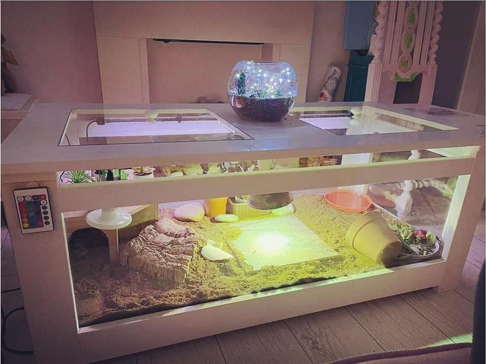 Stylish glass-sided indoor tortoise table that doubles as living room furniture with mounted UVB lighting