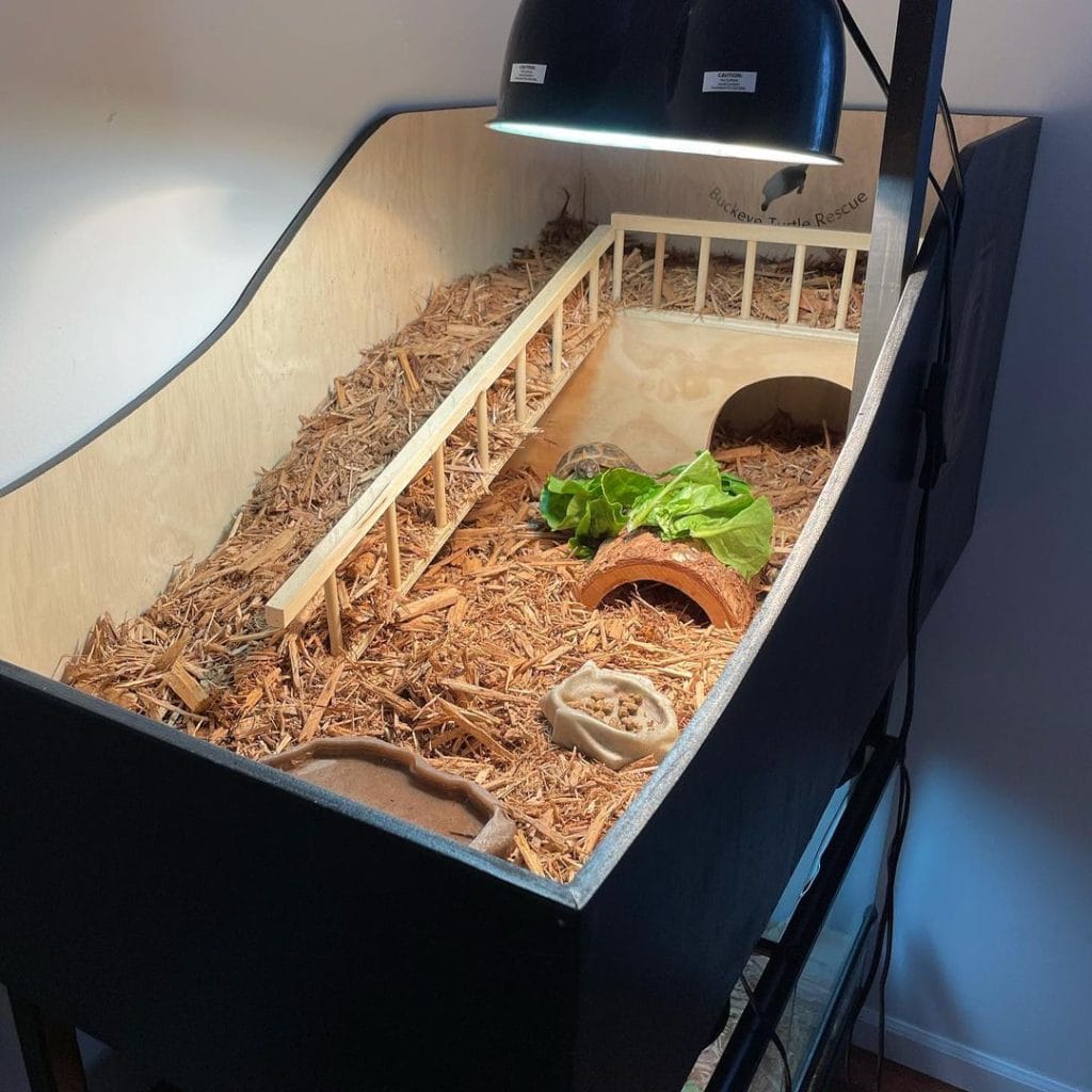Two-level DIY indoor tortoise pen with wooden fence divider and coco fiber substrate