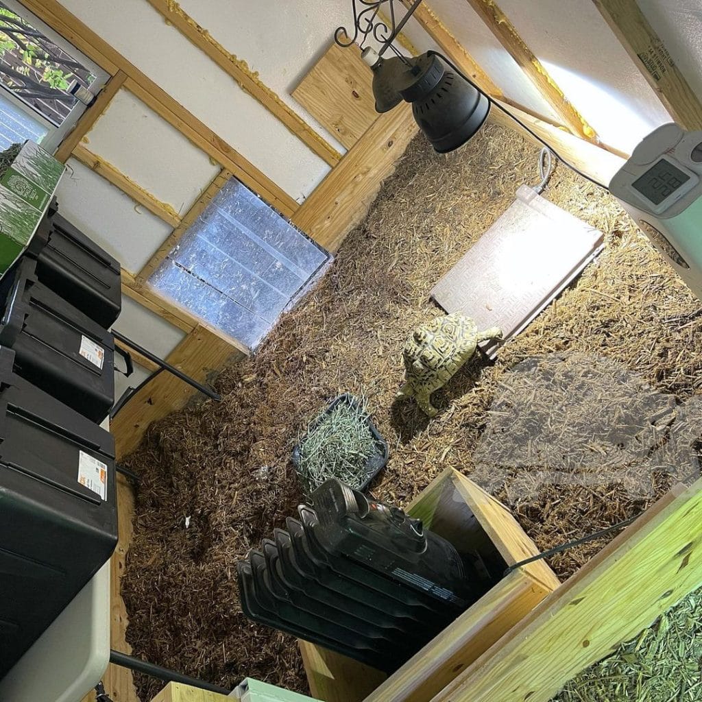 Large indoor sulcata tortoise enclosure with deep straw bedding, ceramic heat emitter, and space heater