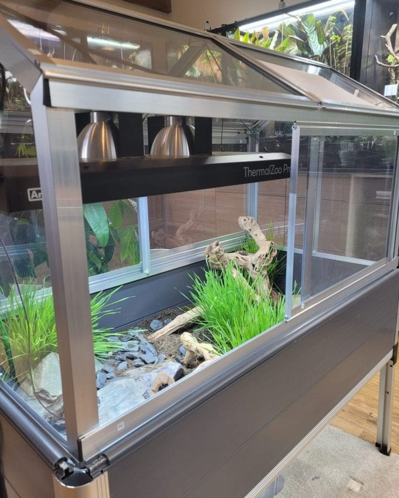 Premium glass indoor tortoise terrarium with ornamental grasses, driftwood, and dual heat lamps
