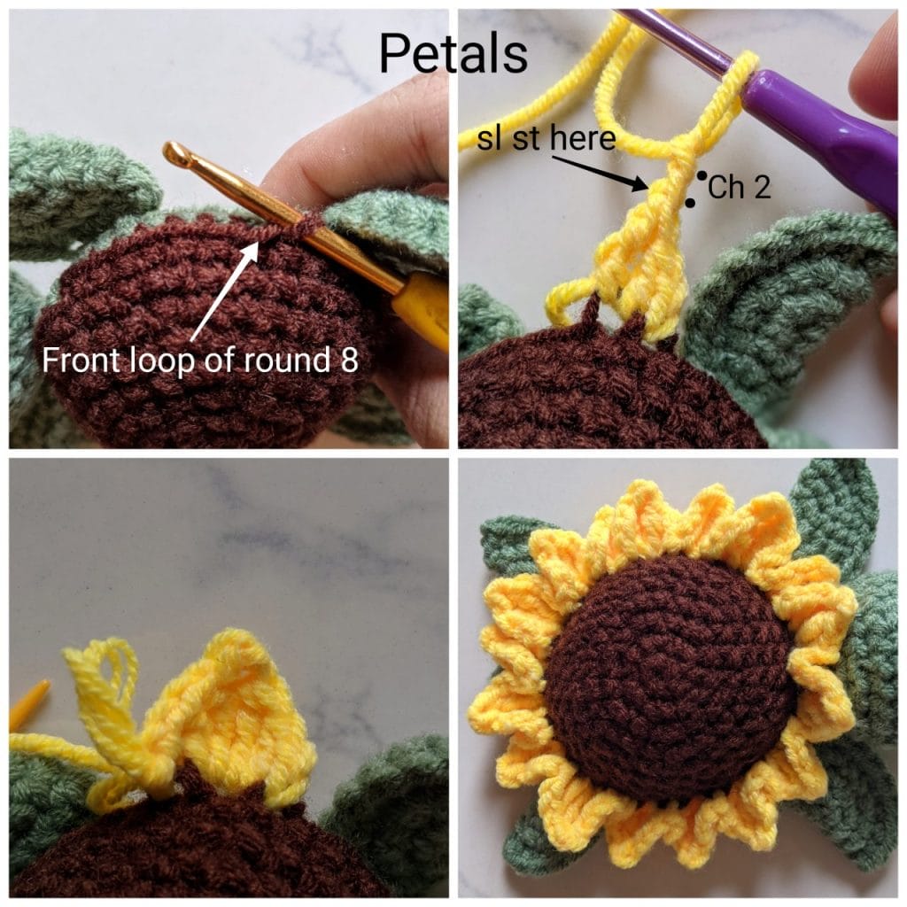 Yellow sunflower petal close-up showing the peacock stitch technique that creates the pointed petal tips around the dark brown shell