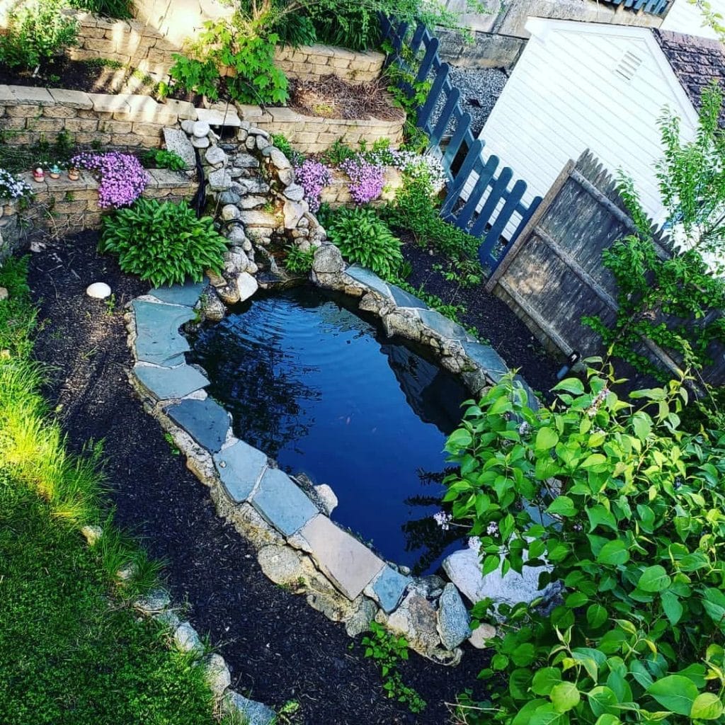 Outdoor in-ground turtle pond with rock waterfall and tiered flower garden