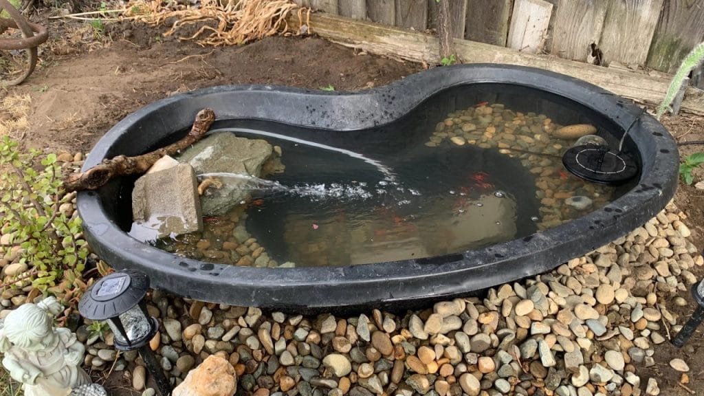 Outdoor turtle pond using a black preformed liner with brick basking platform