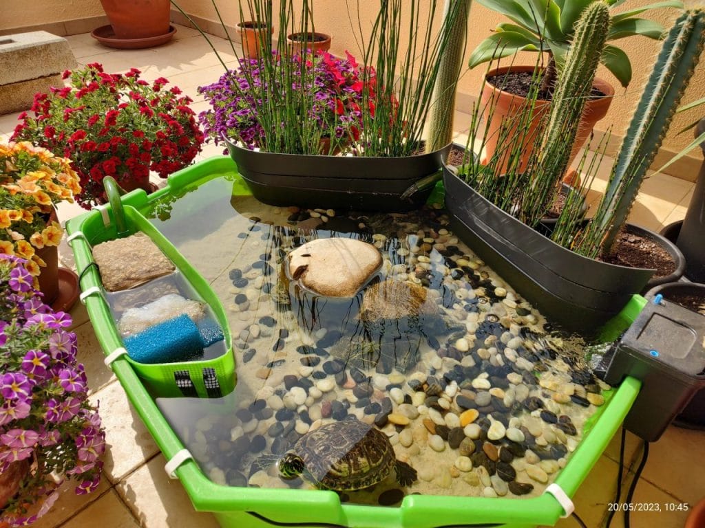 Outdoor turtle pond on a balcony with shallow tub, pebbles, and potted plants