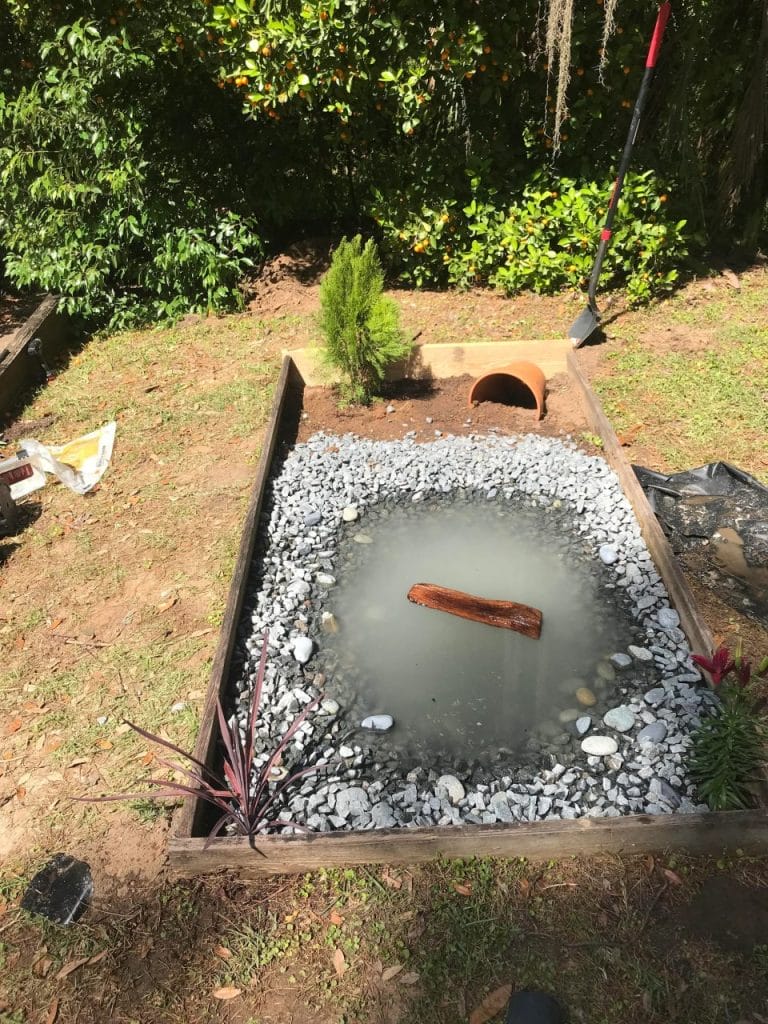 Outdoor turtle pond sunk into a lawn with wooden plank borders and white river rocks