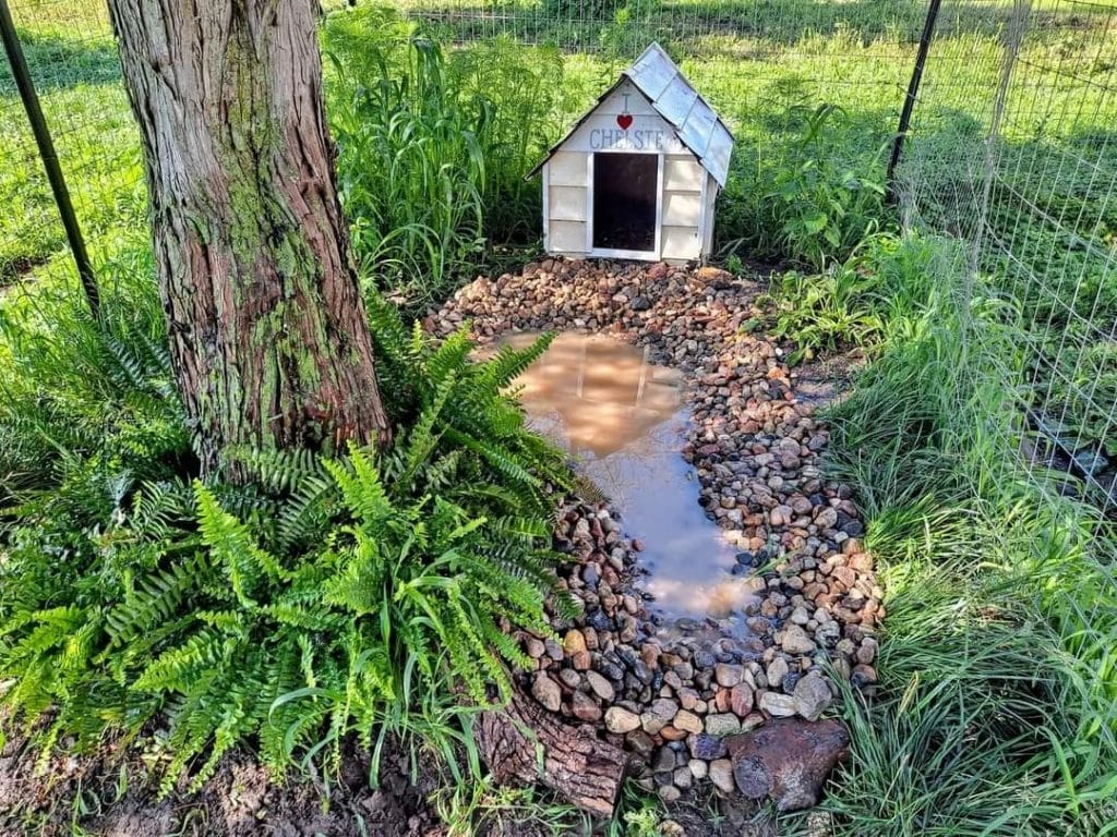 Outdoor turtle pond shaped like a winding stream leading to a tiny wooden cottage shelter