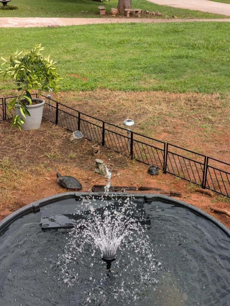 Outdoor turtle pond with solar-powered fountain and protective metal fence