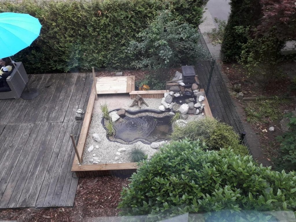Japanese garden style above ground turtle pond with waterfall and white gravel border