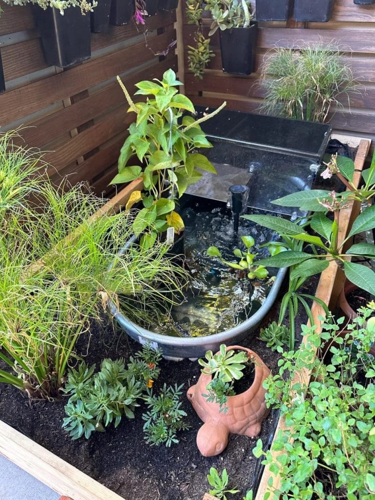 Galvanized metal tub above ground turtle pond surrounded by garden plants