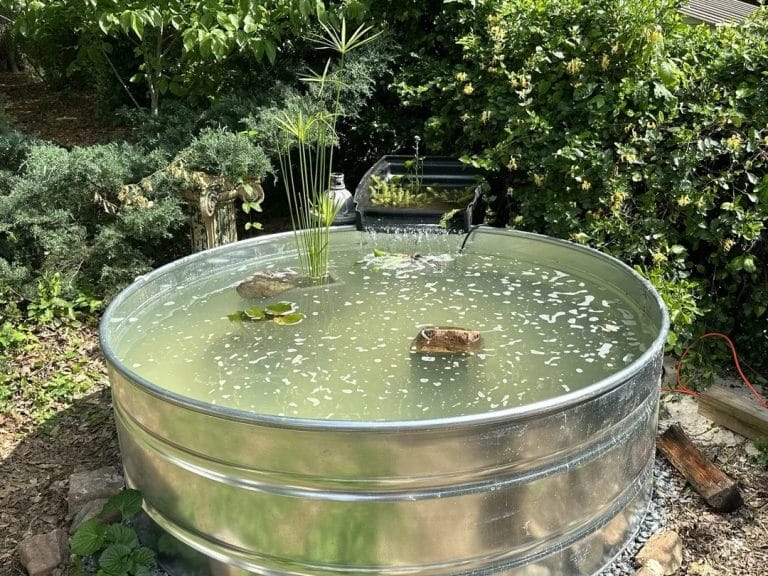Round galvanized stock tank above ground turtle pond with brick basking platform