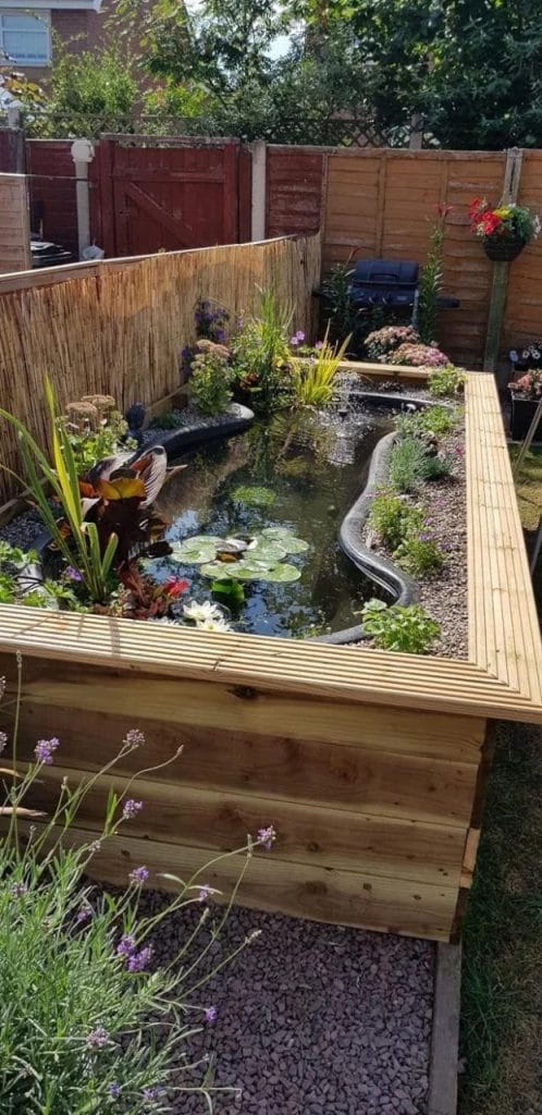 Tall wooden frame above ground turtle pond with polished top edge and aquatic plants