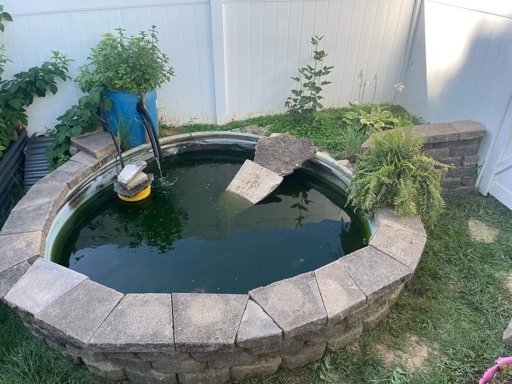 Cinder block above ground turtle pond with stock tank insert and barrel filter