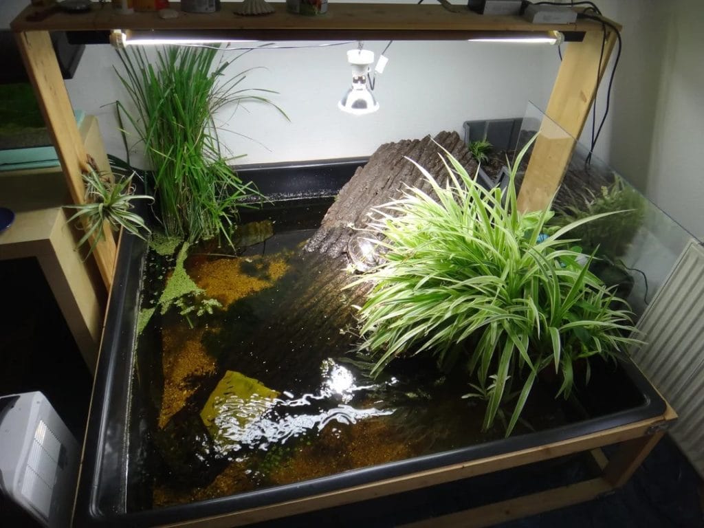 Indoor turtle pond with bark basking ramp surrounded by tropical plants