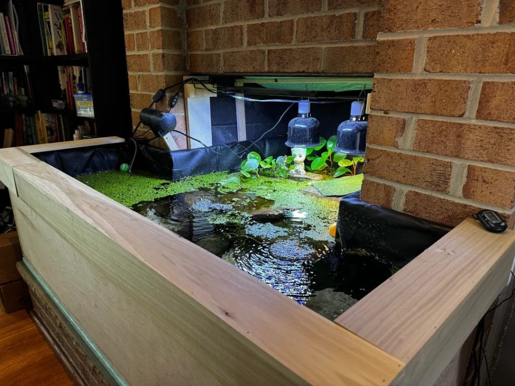 Indoor turtle pond built into a corner brick fireplace with wooden frame