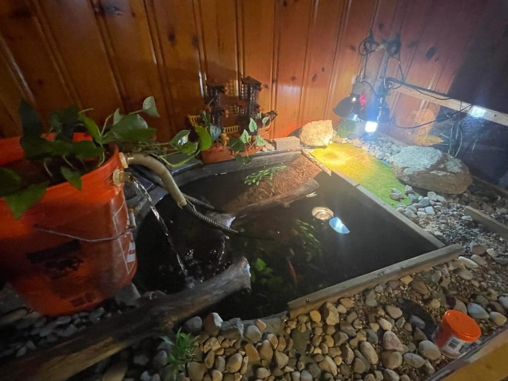 DIY indoor turtle pond with bucket filter, river stones, and dual basking lamps