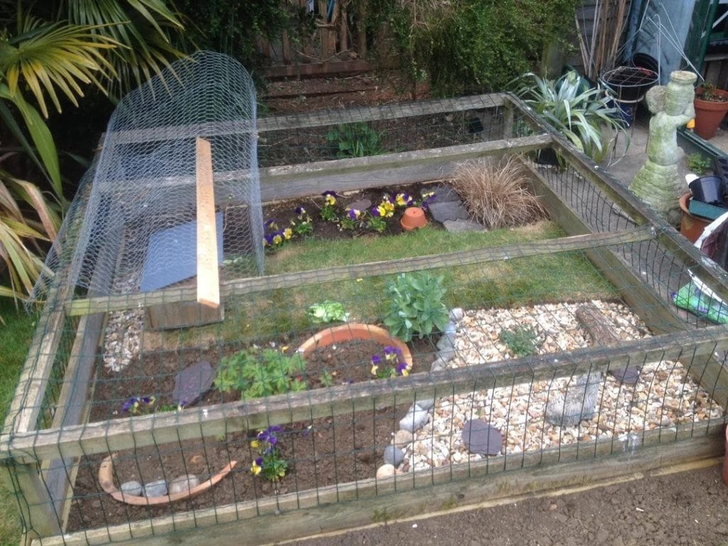 Cottage meadow tortoise garden enclosure with grass, wildflowers, ceramic pot hides, and predator-proof wire cover