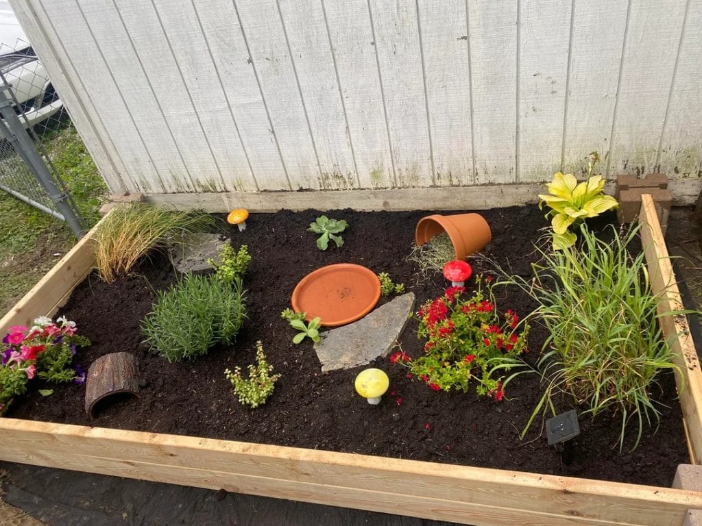 Cottage bed mix tortoise garden with a raised wooden frame, bright flowers, log hides, and a terracotta water dish