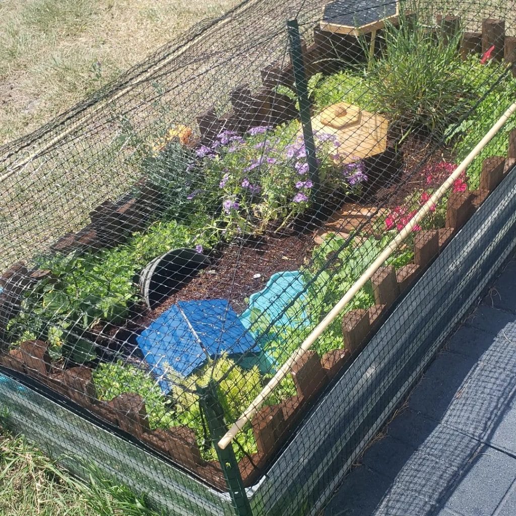 Jungle playpen tortoise garden with dense flowering plants, protective mesh netting top, and flower-pot hides