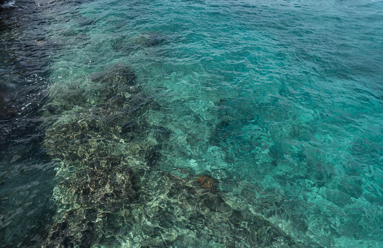 Cozumel coral reef under clear aqua Caribbean water, the kind of visibility you get at Palancar Reef