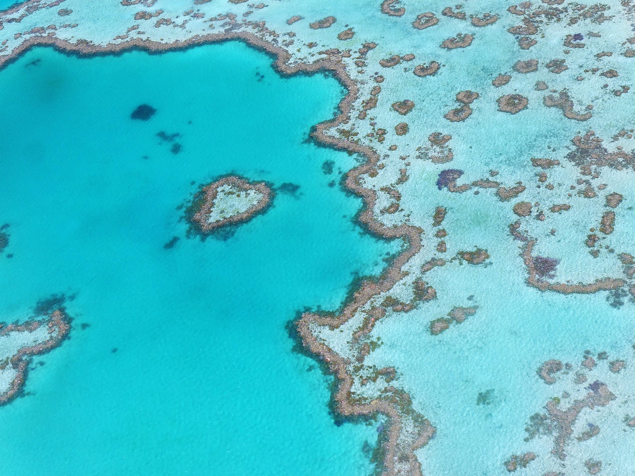 Aerial view of Heart Reef in Australia's Great Barrier Reef, near Lady Elliot Island's green turtle and manta ray habitat